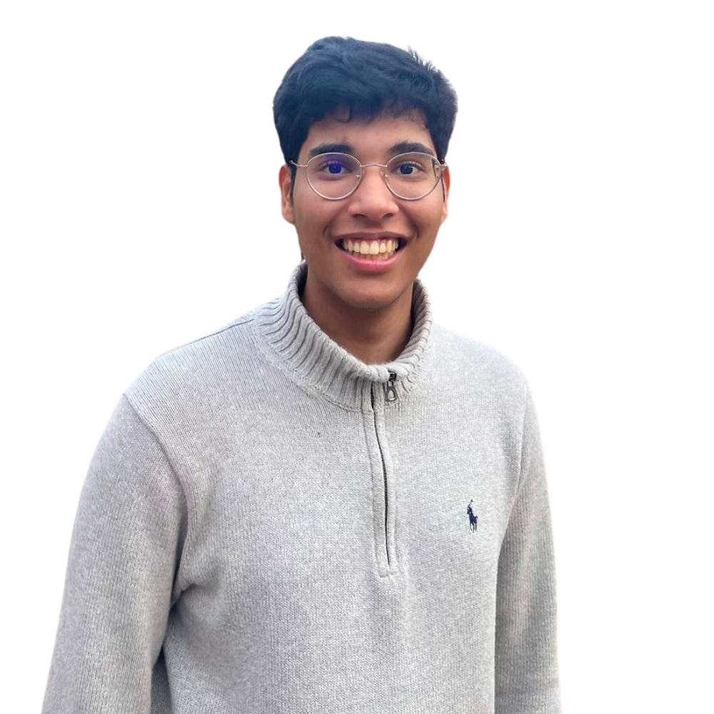 Parth Sarthi